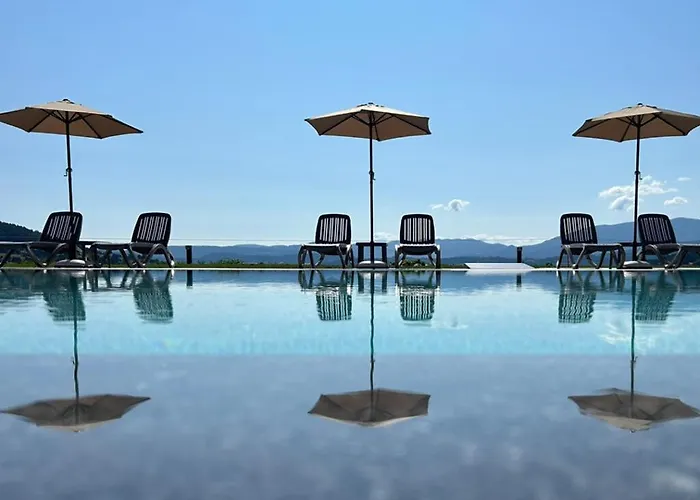 La Casa تسيغوف تشارك