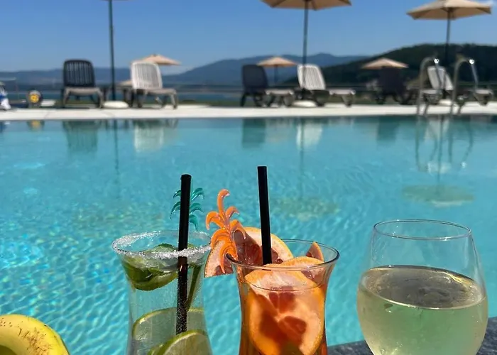 La Casa تسيغوف تشارك