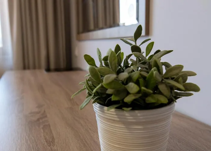 منتجع La Casa 3*